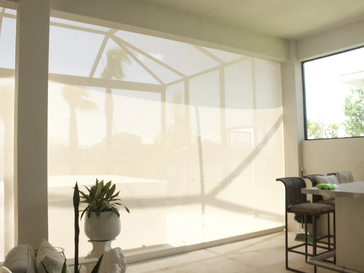 Backlit lanai screen filtering full sun, hammock and palms visible through the mesh